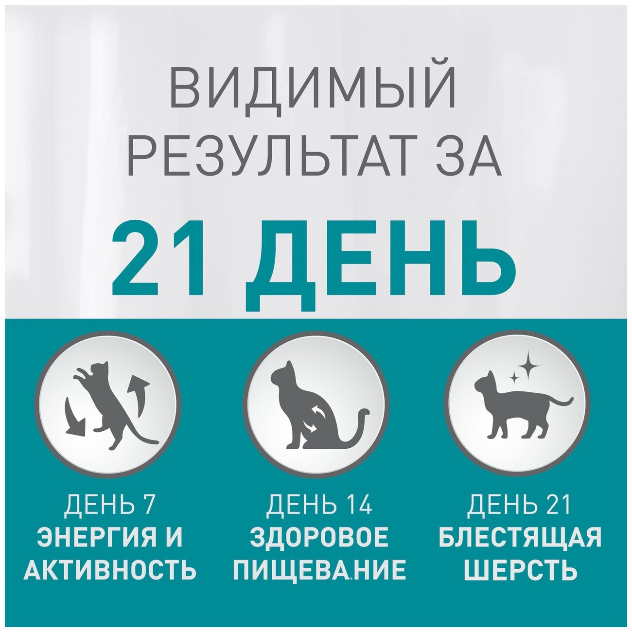 Сухой корм Purina ONE для кошек старше 11 лет с курицей и цельными злаками, Пакет, 750 г,Для взрослых кошек старше 11 лет - фотография № 10