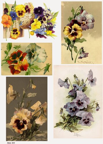 Изображение товара Рисовая бумага для декупажа А4 ультратонкая салфетка 0643 цветы фиалки винтаж крафт Milotto