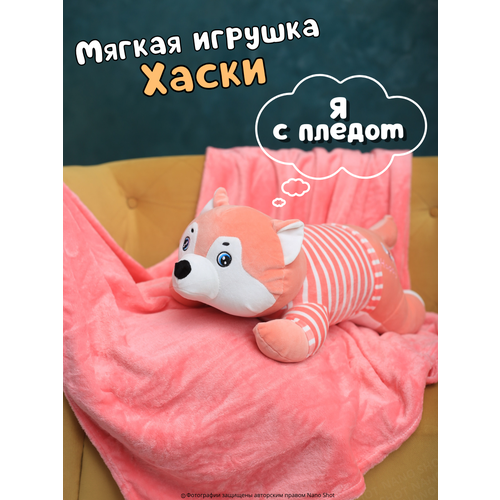 Мягкая ирушка с пледом Хаски розовая в свитере, 50 см