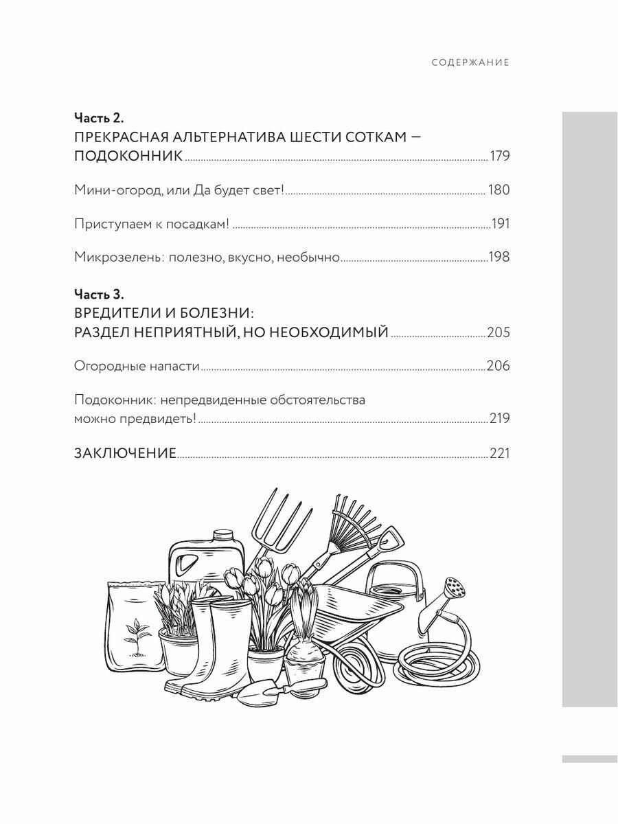 Дача Style, или огород для авантюристов. Как получить урожай, если вы еще не бабушка - фото №17