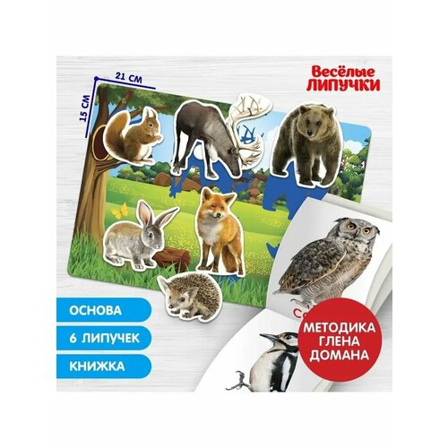 Игра на липучках Изучаем мир лесных животных методика Домана 385₽