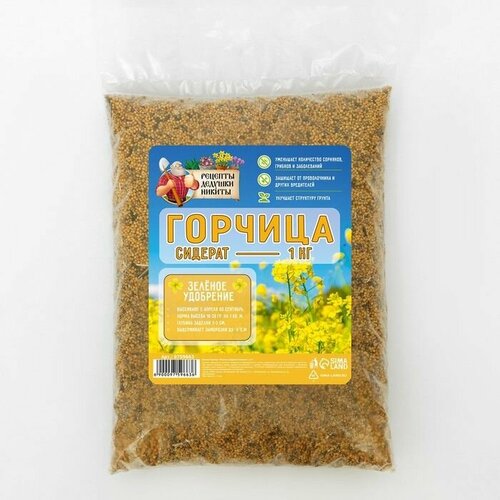 Семена Горчица Рецепты дедушки Никиты, 1 кг ( 1 упаковка )