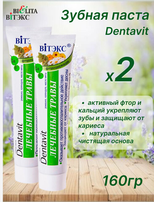 Зубная паста DENTAVIT лечебные травы 160гр, набор 2шт
