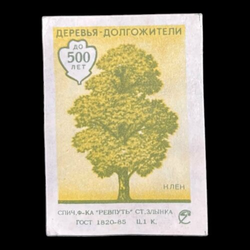 Этикетка от советского спичечного коробка. Деревья-долгожители, до 500 лет. Клён. Сделано в СССР