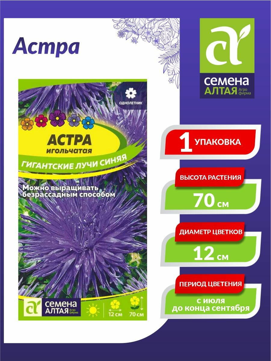 Астра игольчатая Гигантские лучи синяя 02г Семена Алтая