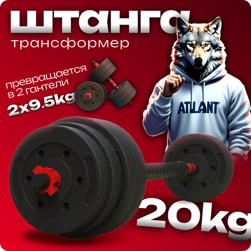 Штанга разборная для фитнеса титан 20 кг . Трансформер 2 гантели разборные по 10кг черный