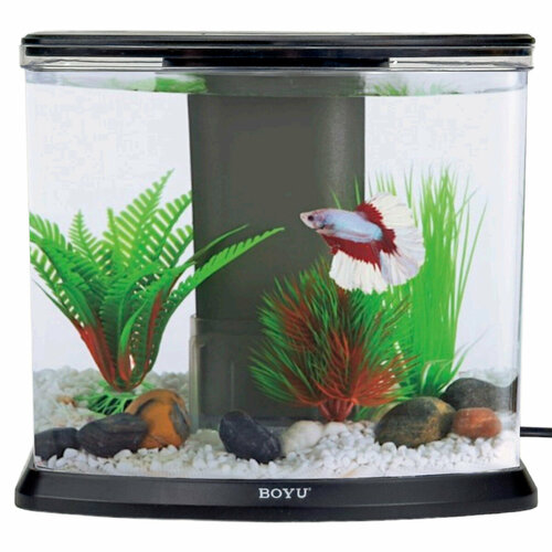 Аквариум Boyu DY-3 Desktop панорамный 36 л настольный с фильтром и светильником 4590₽