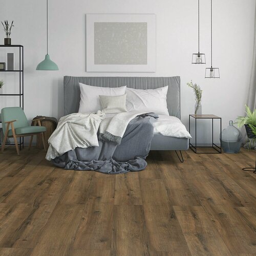 Изображение товара Ламинат Classen Evolution Дуб Сиена 33 класс 8 мм (2,518 кв. м.)