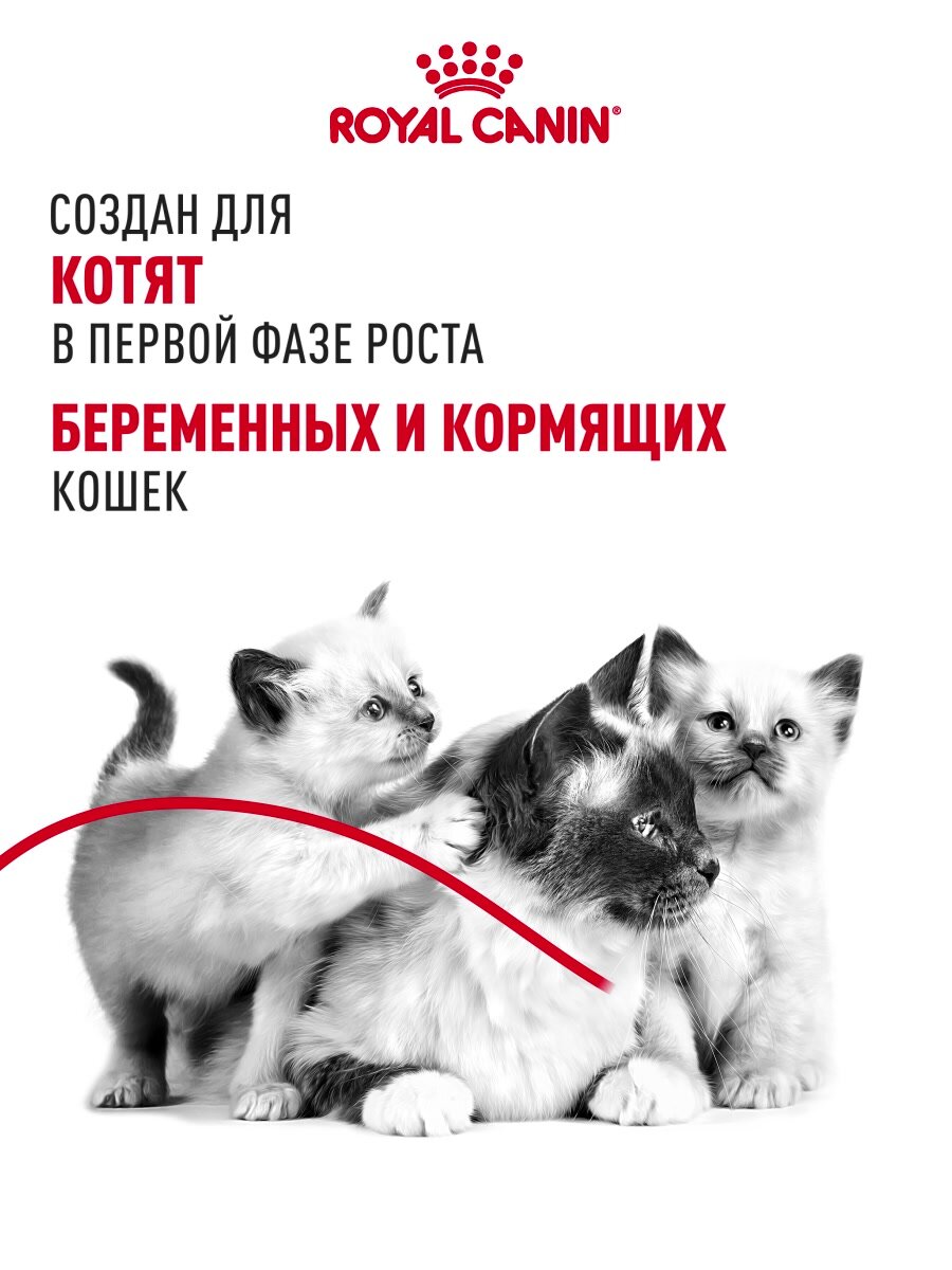 Сухой корм для котят, беременных и кормящих кошек Royal Canin Mother&Babycat, 2 кг — фото 1