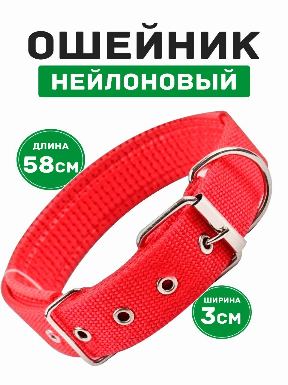 Ошейник с пряжкой