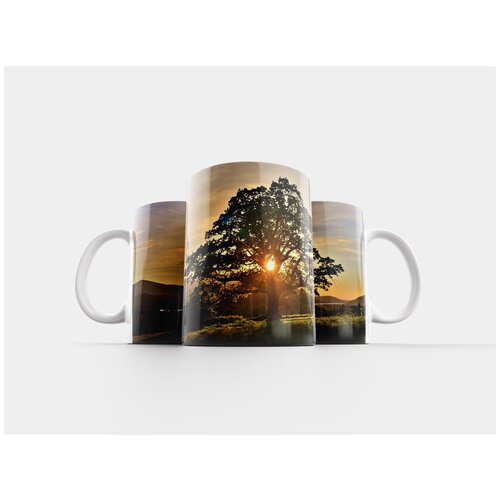 фото Кружка "дерево, природа, восход" 320 мл lotsprints