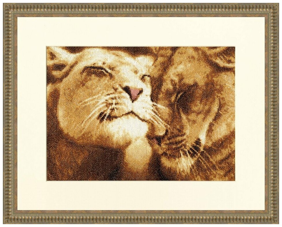 ДЖ-028 Влюбленные львы. Дикие животные Золотое руно - фото №1