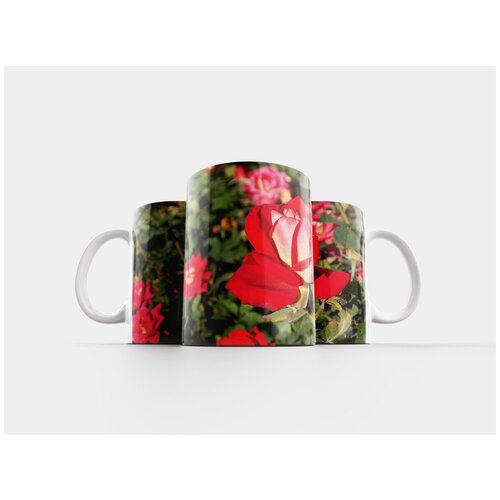 фото Кружка "роза, лето, сад" 320 мл lotsprints