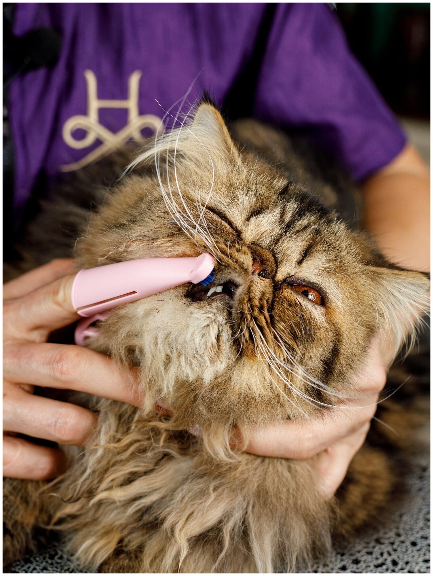 Japan Premium Pet Зубная щетка анатомическая силиконовая для мелких собак и кошек - фотография № 19