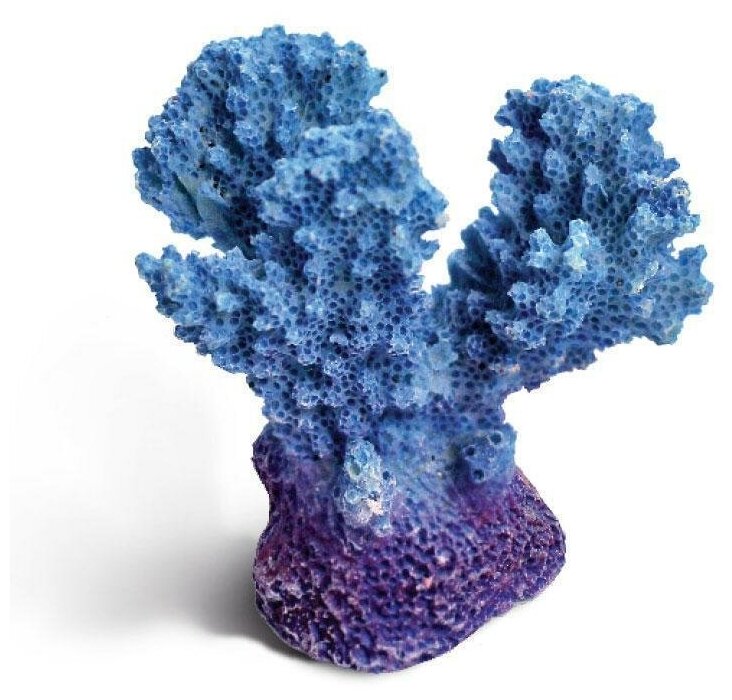 Коралл искусственный LAGUNA 2913LD "Акропора мини", 55*32*55мм