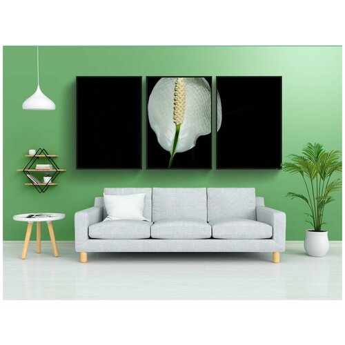 фото Набор модулных постеров для интерьера "цветок, белый цветок, цвести" 60x90 см. в тубусе, без рамки lotsprints