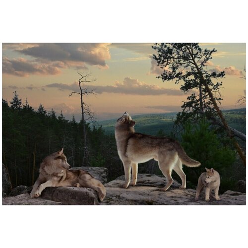 Фотообои Мои фотообои Софьян 165*250см МФ9288