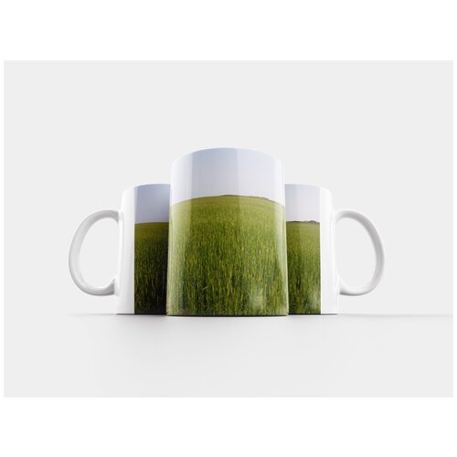фото Кружка "зеленый ячмень, поле, природа" 320 мл lotsprints