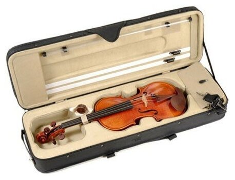 Dowina Belcanto Violin BCV скрипка