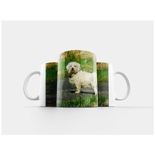 фото Кружка "млекопитающее, животное, трава" 320 мл lotsprints