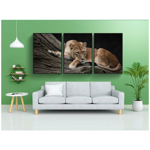 фото Набор модулных постеров для интерьера "лев, хищник, женский" 60x90 см. в тубусе, без рамки lotsprints