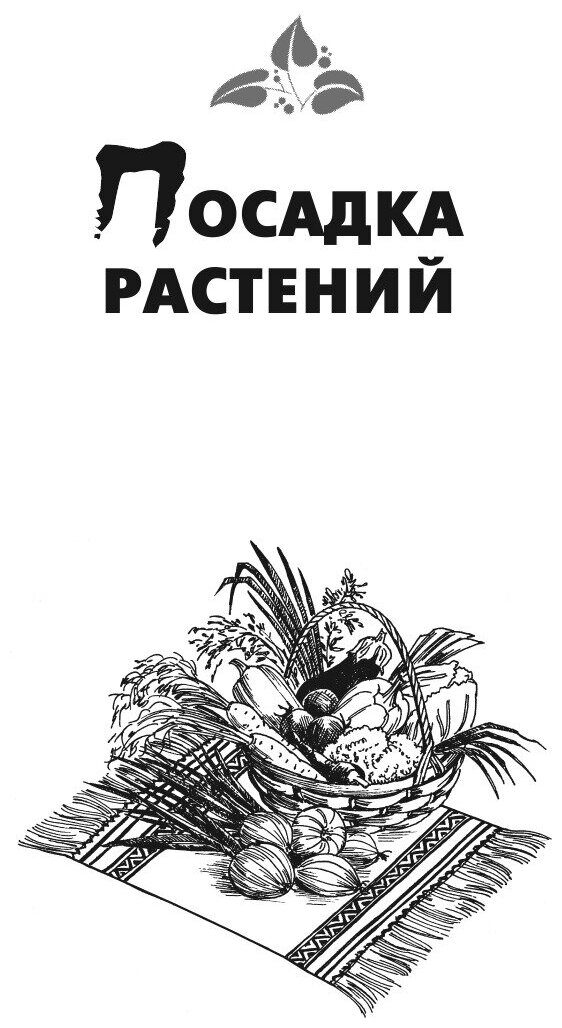 Книга Богатый урожай овощей (Шкитина Елена Николаевна) - фото №9