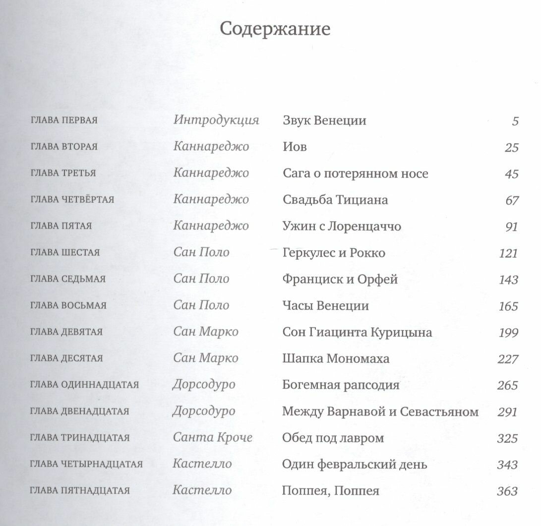 Только Венеция. Образы Италии XXI. Открытый фестиваль искусств "Черешневый лес" - фото №11