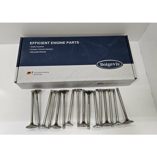Комплект клапанов впуск/выпуск cfna Boigevis