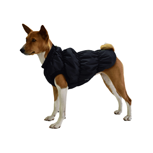 Жилет ДжекиДог мембранный на флисе унисекс р.16 цв. черный