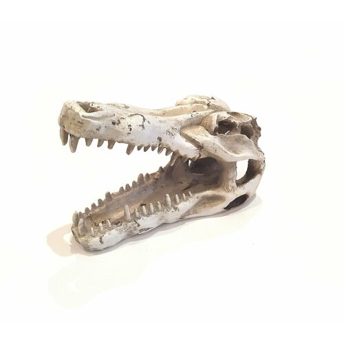 Декор для террариума 