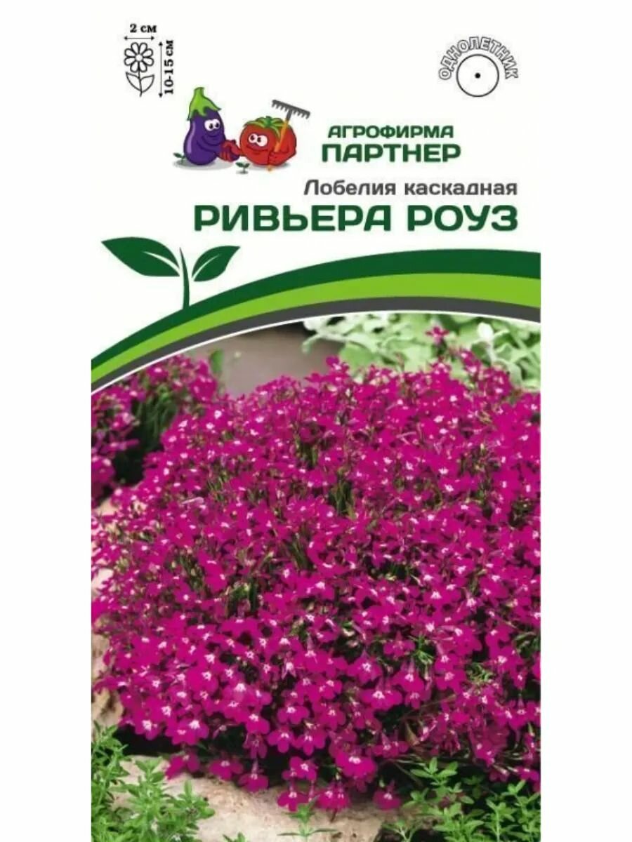 Мицелий Лобелия каскадная Ривьера Блу Ай и Ривьера Роуз