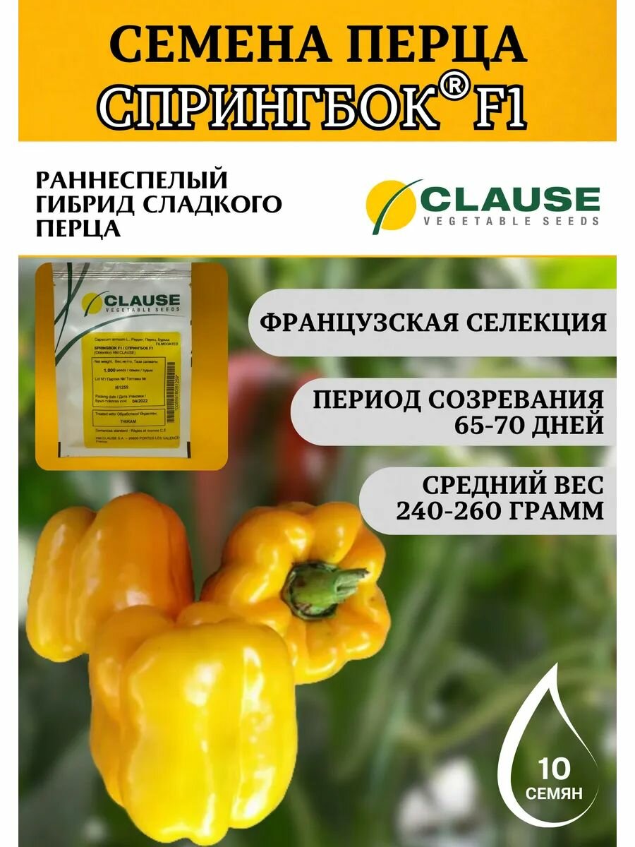 Семена перца Спрингбок F1 Clause 10 штук профессиональные семена