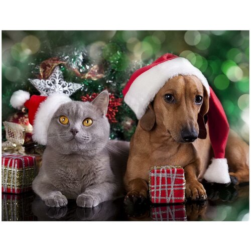 Купить Набор для творчества Рыжий кот Алмазная мозаика Новогодние домашние питомцы блестящая, с подрамником, с полным заполнением 40*50