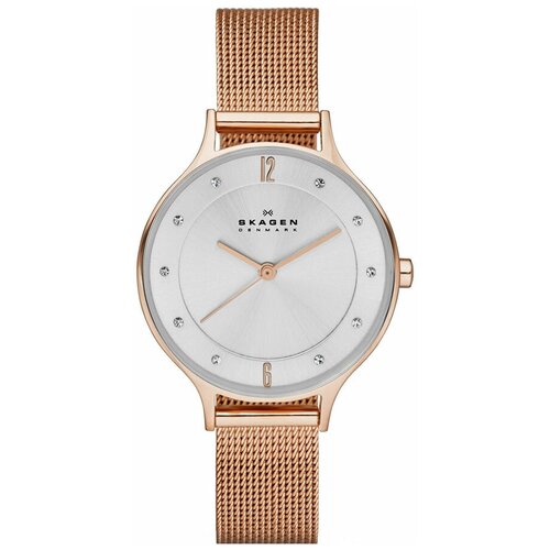 фото Наручные часы skagen skagen skw1096, серебряный