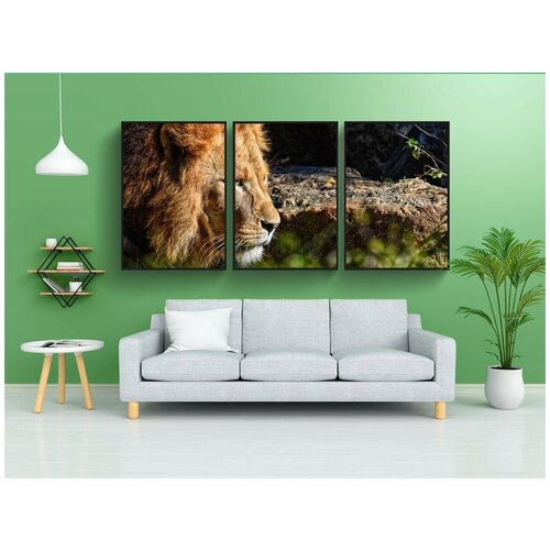 фото Набор модулных постеров для интерьера "лев, хищник, опасный" 60x90 см. в тубусе, без рамки lotsprints