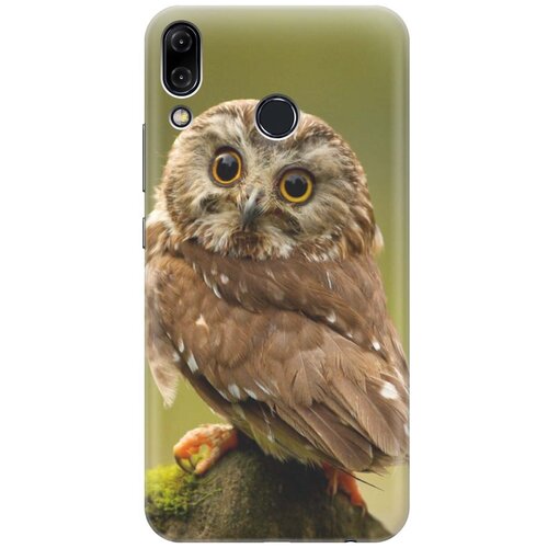 фото Силиконовый чехол на asus zenfone 5z (zs620kl) / асус зенфон 5 зет с принтом "сова на дереве" gosso