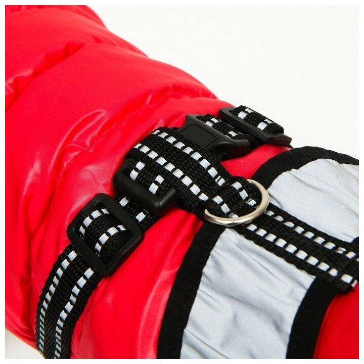 Куртка для собак со светоотражающей шлейкой, размер 10 (ДС 25, ОГ 34, ОШ 24), красная - фотография № 6