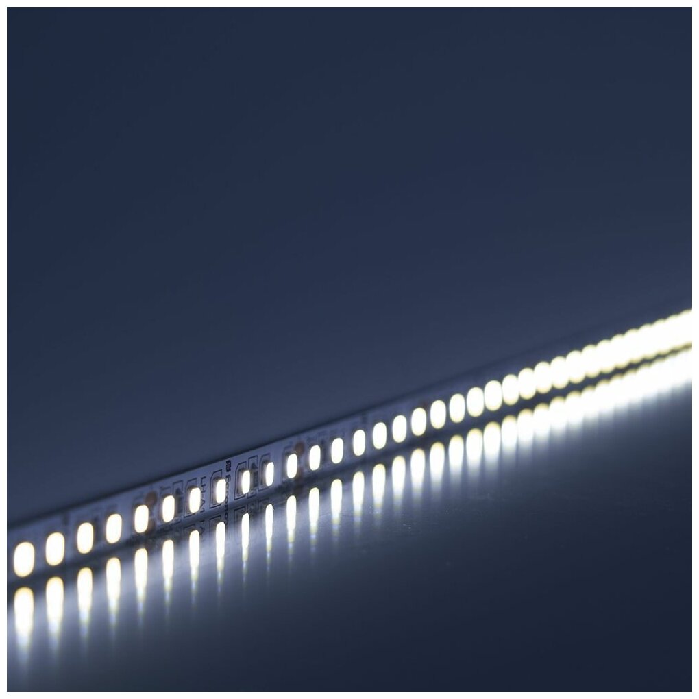 Светодиодная LED лента Feron LS500, 60SMD(2835)/м 6Вт/м 24V 5000*8*1.22мм 6000К - фотография № 1