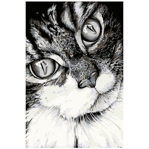 Кошачий взгляд Раскраска картина по номерам на холсте кошачий орнамент раскраска картина по номерам на холсте