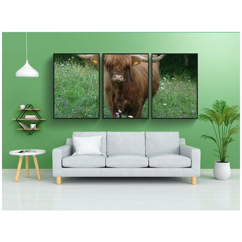 фото Набор модулных постеров для интерьера "горный скот, говядина, шотландия" 60x90 см. в тубусе, без рамки lotsprints