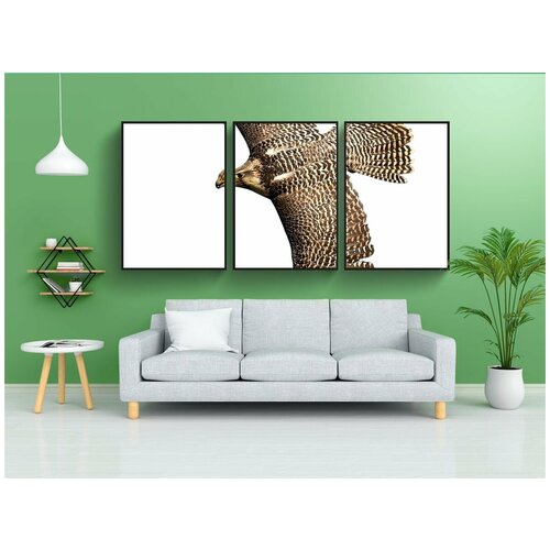 фото Набор модулных постеров для интерьера "сокол, хищные птицы, птица" 60x90 см. в тубусе, без рамки lotsprints