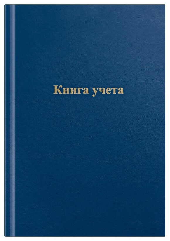 Бухгалтерская книга учета OfficeSpace (А4, 96л, линия, 200x290мм, бумвинил, цвет синий, блок офсетный) (326532)