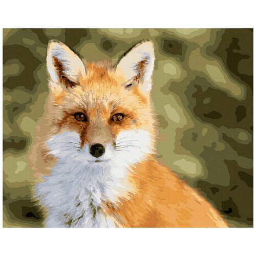 Картина по номерам Взгляд лисы, 40x50 см, ВанГогВоМне