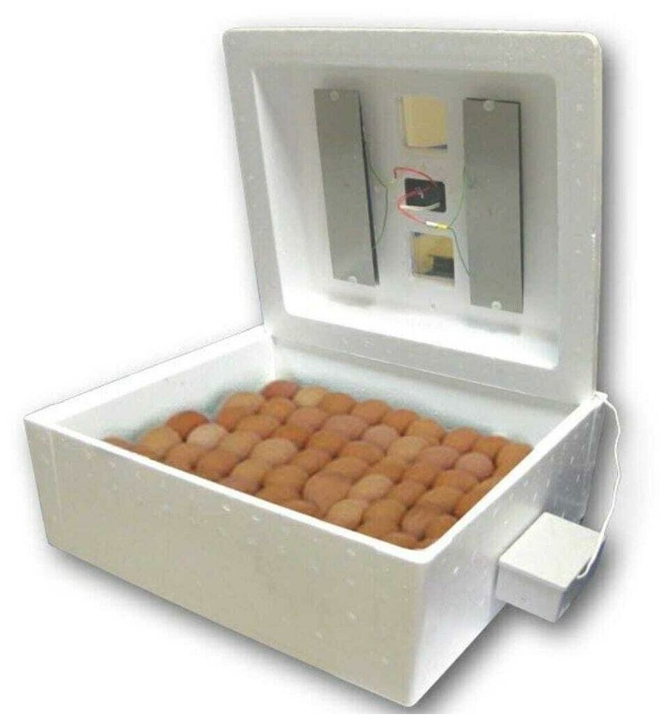 Инкубатор автоматический на 63 яйца, 220 В, терморегулятор. Для инкубации куриных, гусиных, утиных, индюшиных и перепелиных яиц в пенопластовом корпусе с датчиком температуры - фотография № 7