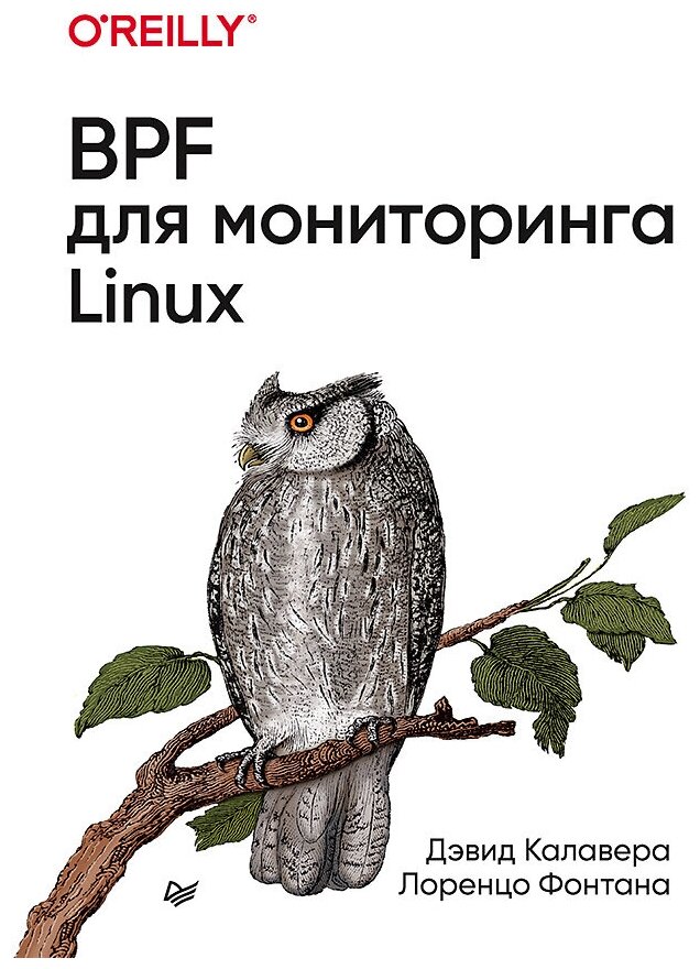 BPF для мониторинга Linux (Калавера Д., Фонтана Л.) - фото №1