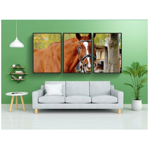 фото Набор модулных постеров для интерьера "лошадь, животное, веселье" 60x90 см. в тубусе, без рамки lotsprints