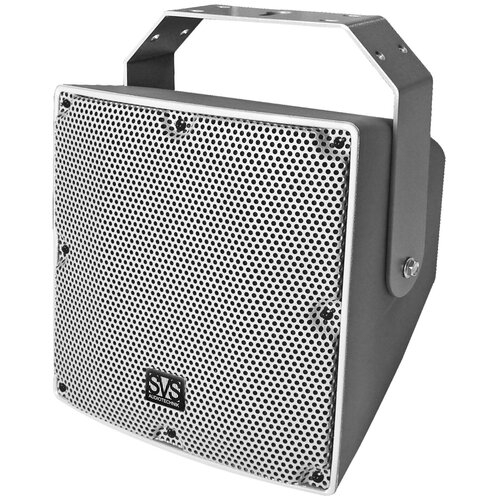 Трансляционная акустика SVS Audiotechnik IP-12T 4630500₽