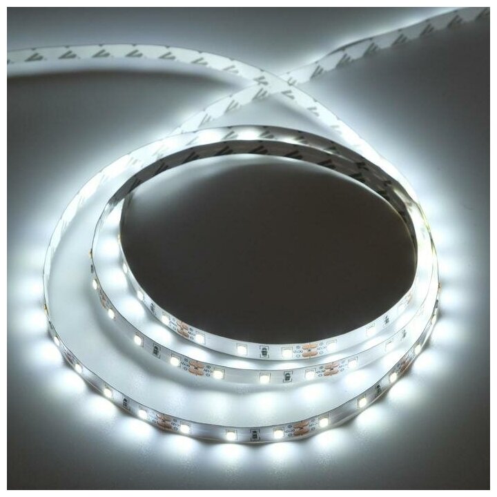 Светодиодная лента Ecola PRO, 12В, SMD2835, 5 м, IP20, 8Вт/м, 60 LED/м, 6000К