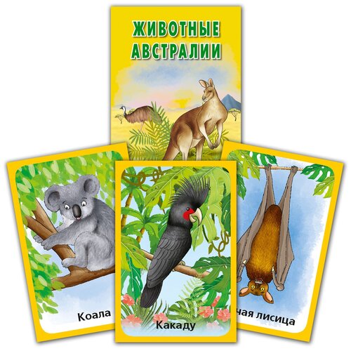 Карточки Животные Австралии дидактические карточки животные австралии животные азии