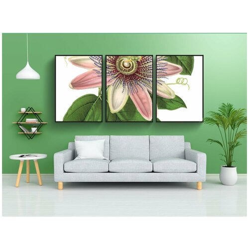 фото Набор модулных постеров для интерьера "цветок страсти, цветок, завод" 60x90 см. в тубусе, без рамки lotsprints